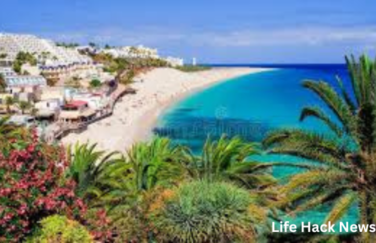 Jable: Understanding Its Rise, Relevance, and Digital Impact jable