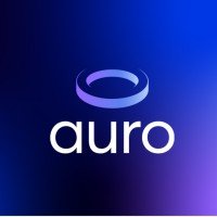 Auro: The Emerging Force Reshaping Digital Innovation auro