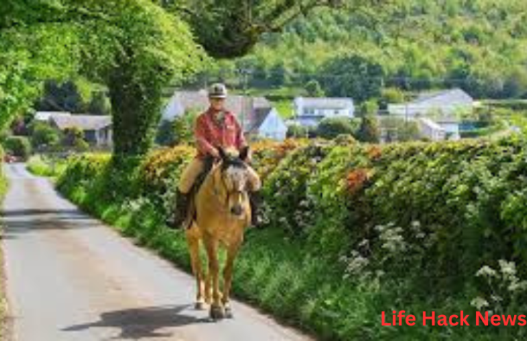 can you get a dui on a horse